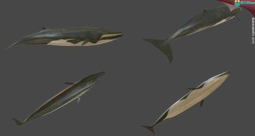 215939ofd3kbbrsfrrzdjy.jpg