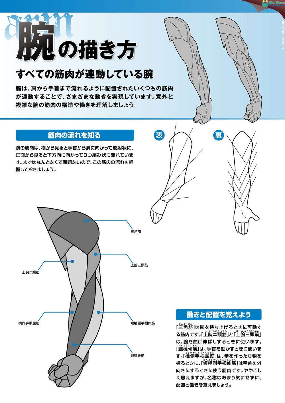 225858v55cxt4l545tlcxl.jpg
