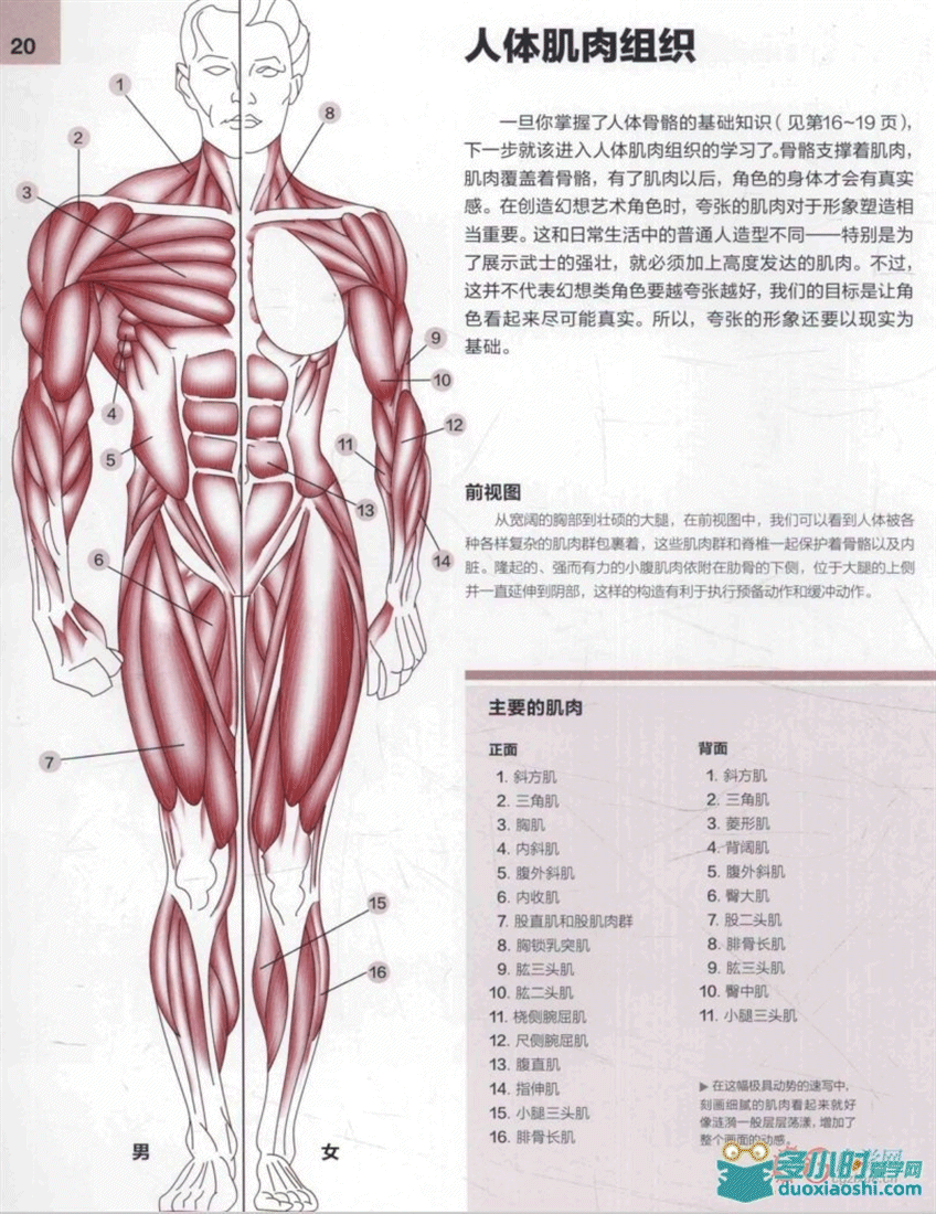 171455q4zu1bcysw4v1vwm.png
