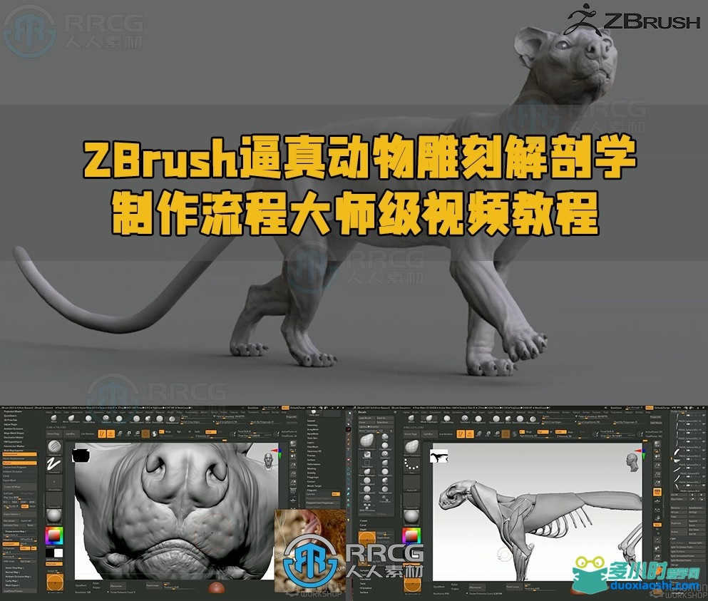 150203m5d2505umf56msjj.jpg