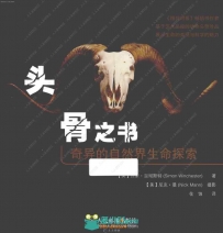 私人生物收藏神秘的头骨高清图集原画插画