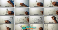 铅笔手绘教程 人体绘画中的阴影处理