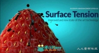 Navie Effex Krakatoa流体动画C4D插件V2.70.80版 NAVIE EFFEX AND EFFEX KRAKATOA ...