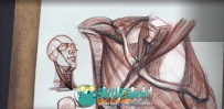《人体结构与比率手绘绘画视频教程第五季》The Gnomon Workshop Anatomy Workshop ...
