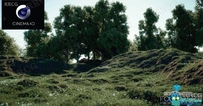 3dquakers Forester植物树木生成动画C4D插件V1.5版