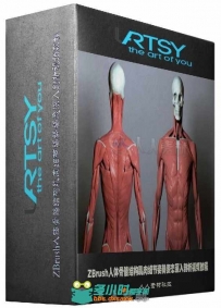 ZBrush人体骨骼结构肌肉细节姿势姿态深入剖析视频教程 Uartsy Artistic Anatomy in...