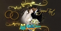 完美婚礼AE模板 VideoHive Wedding Rings 4415971 Project for After Effects