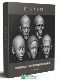 罗其胜ZBrush人体头骨建模雕刻基础视频教程
