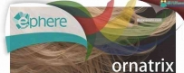 Ephere Ornatrix 6.1.1.18488 for 3ds Max 2014-2019 Win x64