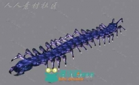 软体动物蜈蚣动作动画