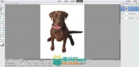 Photoshop图层创建和使用视频教程