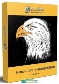 Illustrator CC 2018一对一基础技能训练视频教程