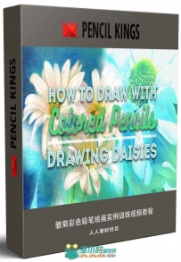 雏菊彩色铅笔绘画实例训练视频教程