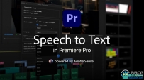 Adobe Speech to Text 2023视频对话自动添加字幕Premiere Pro插件