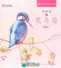 色铅笔之花鸟绘画书籍杂志