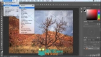 PS CC 2018基础技能训练视频教程 Photoshop CC 2018 Essential Training The Basics