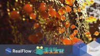 RealFlow流体动力学模拟C4D插件V2.5.2 Mac版