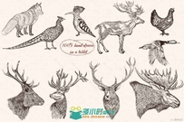 动物高清与矢量图形合辑 Creativemarket Bundle From Vector Engraved Animals 486410