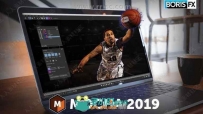 Boris FX Mocha Pro 2019.5影视追踪插件V6.1.2.41版