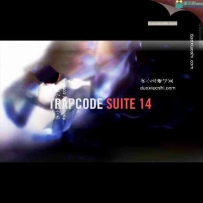 AE粒子插件Trapcode Particular Win Mac中文英文汉化版 CC2018
