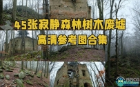 45张寂静森林树木废墟高清参考图合集