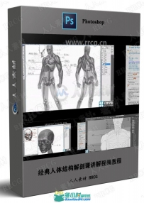 经典人体结构解剖课讲解视频教程