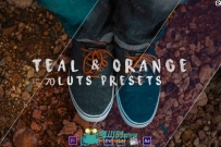Riyazmn超级调色预设合辑 RIYAZMN TEAL AND ORANGE STANDARD PACK (RMN) LUTS AND ...