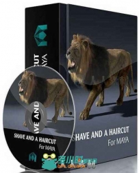 JoeAlter Shave A Haircut头发毛皮Maya2016-2017插件V9.5 V9版