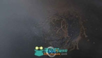 Mootzoid emReader几何缓存加载软件V1.0070版