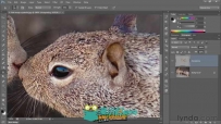 《Photoshop CS6一对一中级教程》Lynda.com Photoshop CS6 One-on-One Intermediate
