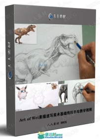 Art of Wei素描速写美术基础传统手绘教学视频