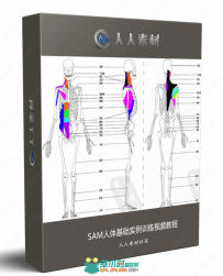 SAM人体基础实例训练视频教程