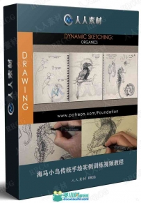 海马小鸟传统手绘实例训练视频教程