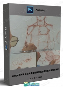 Vilppu画师人体结构素描详细传统手绘实例训练视频教程