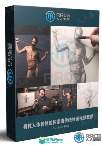 男性人体骨骼结构素描传统绘画视频教程