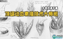 顶级动态素描技术大师级视频教程