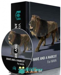 JoeAlter Shave A Haircut头发毛皮Maya2016-2018插件V9.6V15版