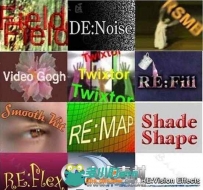 ReVisionFX视频特效插件合辑V2017.08版 REVISIONFX COLLECTION WIN MAC LNX