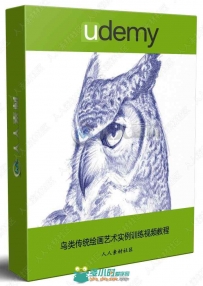 鸟类传统绘画艺术实例训练视频教程