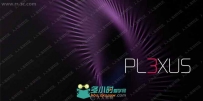 Rowbyte Plexus三维粒子AE插件V3.1.7版