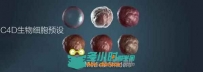 C4D生物细胞预设 Cinema 4D Organic Medical Shader Pack