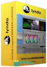 Avid Media Composer剪辑非编全面核心训练视频教程 Lynda Avid Media Composer 8 E...