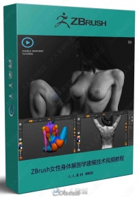 ZBrush女性身体解剖学建模技术视频教程