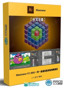 Illustrator CC 2021一对一高级技能训练视频教程