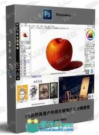 基础素描静物绘画实例训练视频教程