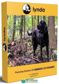 Photoshop Elements 2018图像编辑核心技术训练视频教程 Learning Photoshop Elemen...