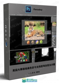 美国大师级绘画色彩与光线视频教程及步骤