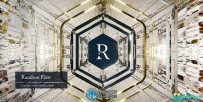 Random Flow随机硬表面概念设计Blender插件V2.8.5版