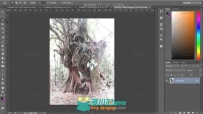 Photoshop幻想过渡环境视频教程