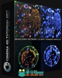 Thinking Particles粒子动态系统训练视频教程 Cinema 4D Tutorial.Net Branching N...